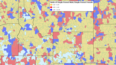 USA Single Parent Male Families On the Rise
