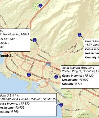 Label your business data using flexible callouts