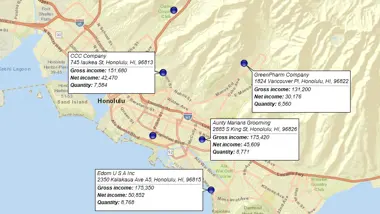 Label Your Business Data Using Flexible Callouts